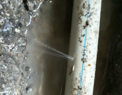 通化市测漏水哪家好